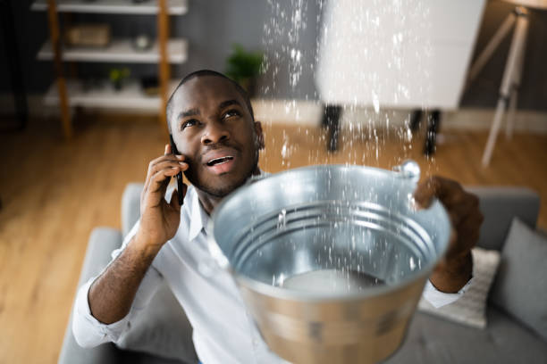 Best Water damage repair service  in Lexington, TX