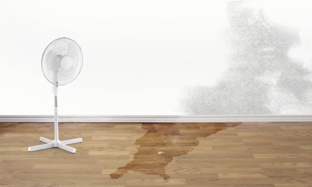 Best Sewage cleanup and water damage restoration  in Lexington, TX